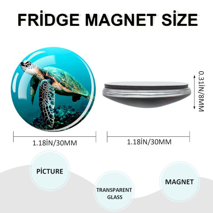 ds-สติกเกอร์ติดชีวิตจริงทะเลทะเลแม่เหล็กติดตู้เย็นรูปเต่าปลาโลมาเปลือกหอยกระจกโดมแผ่นติดตู้เย็นของที่ระลึกแม่เหล็กของขวัญการตกแต่งบ้านชิ้นส่วนตู้เย็น-amp