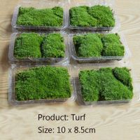 1กล่อง10X8.5ซม. ทุ่งหญ้าประดิษฐ์จำลอง Moss สนามหญ้าสนามหญ้าปลอมหญ้าสีเขียวพรม DIY Micro Landscape Home Floor Decor