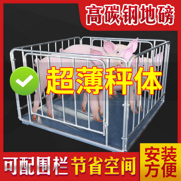 Zhengxing weighing scale small scale 1 ton 3 tons electronic scale pig