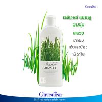 เวติเวอร์ แชมพู กิฟฟารีน แชมพู แชมพูสูตรอ่อนใส Giffarine Vetiver Shampoo