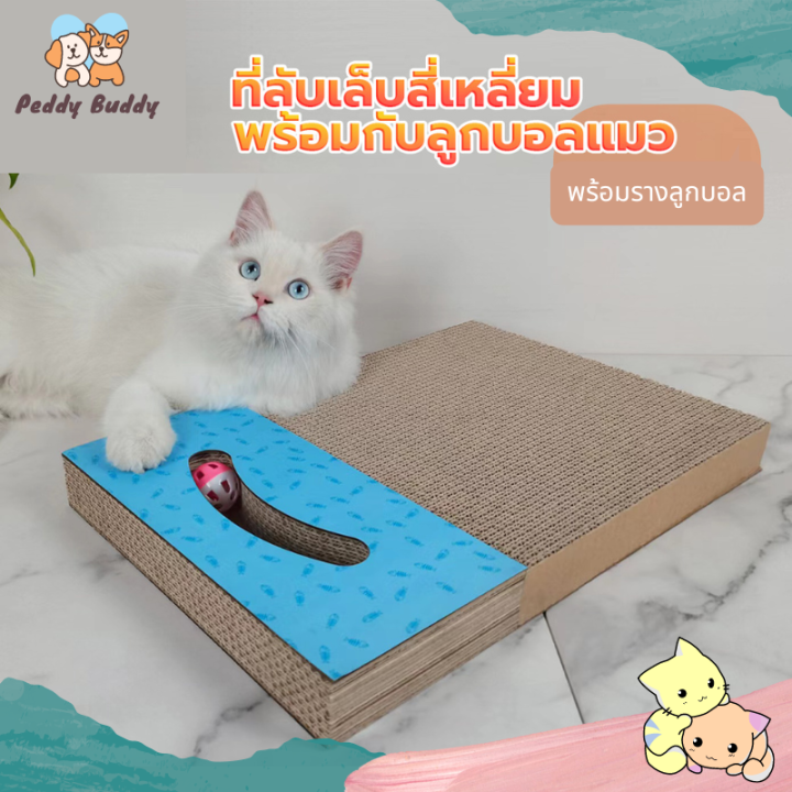 peddy-ของเล่นแมว-ที่ลับเล็บแมว-รางบอลแมว-ลูกบอลแมว-วงล้อ-ที่ลับเล็บแมวราคาถูก-cat-scratch-board-มีลูกบอล-พร้อมส่ง