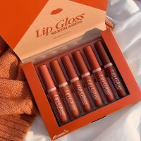 แท้ | ส่งไว | Heng Fang No.H7029 Lip gloss Silky &amp; Lasting เซตลิปจุ่มเนื้อกำมะหยี่ 6 สี