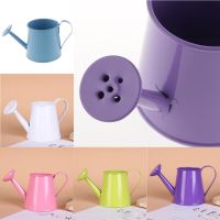 【CC】 Metal Iron Watering Can  Vase Garden Pot