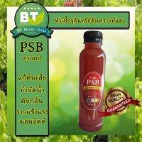 หัวเชื้อจุลินทรีย์สังเคราะห์แสง 250ml ขนาดทดลอง ช่วยการเจริญเติบโตของพืช บำบัดน้ำเสีย มีกลิ่น เร่งราก บำบัดดิน