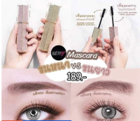 Ashley galactic meteor long mascara มาสคาร่าสูตรกันน้ำ ช่วยเพิ่มความยาวและความหนาแบบเต็มพิกัด **ของแท้ พร้อมส่ง