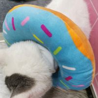 Adjustable Neck Collar Cotton Cone E-Collar With Cute Pattern For Cat And Dog