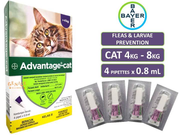 Advantage II Large Cat Vet-Recommended Flea Treatment Prevention C ...