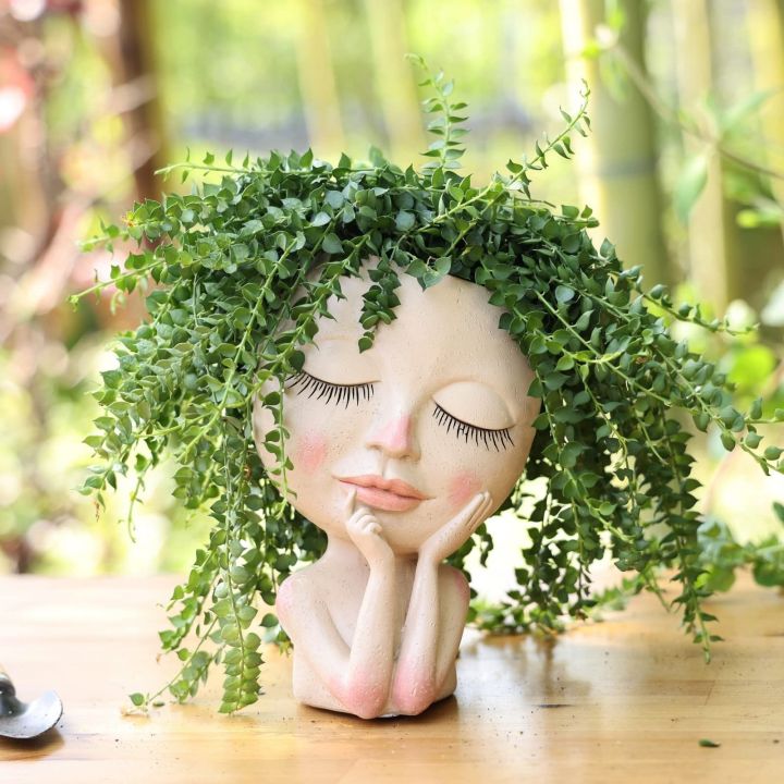 cc-face-succulent-pot-flowerpot-figure-garden-tabletop-ornament