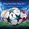 Quả banh bóng đá đúc champions số 5 - ảnh sản phẩm 1