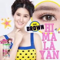 ?*มีค่าสายตา*?  Sale!! Pretty Doll Himalayan brown บิ๊กสายตาปกติ คอนแทคเลนส์ ลายฮิต Tiktok แถมตลับฟรี!!