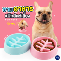 Royalty Pets ชามอาหารสัตว์เลี้ยง สำหรับฝึกการกินสุนัขที่ทานเร็ว อาหารสัตว์เลี้ยง อุปกรณ์สัตว์เลี้ยง สุนัข หมา แมว RY048