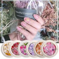 【hot sale】 ✇✤ B50 50 Pcs/box 3D Nail Art Flowers Animal Butterfly Wood Pulp Mixed Nail Patch DIY Simulation Dried Flowers Nail Art Decorations Accessories