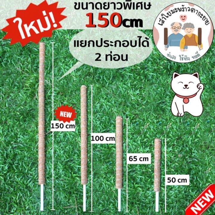 pro-โปรแน่น-หลักต้นไม้-หลักมะพร้าว-เสาไม้เลื้อย-หลักไม้เลื้อย-เสาหลักใยมะพร้าว-ไม้เกาะเลื้อย-เสาใยมะพร้าว-เสาไม้เลื้อยยาว-ราคาสุดคุ้ม-พรรณ-ไม้-น้ำ-พรรณ-ไม้-ทุก-ชนิด-พรรณ-ไม้-น้ำ-สวยงาม-พรรณ-ไม้-มงคล