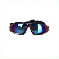 Free Shipping FG02 Snowing goggles Ski goggles the prevent wind glasses for children