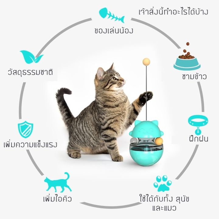 pet-ของเล่น-สัตว์เลี้ยง-ของเล่นแมวเด็ก-ลูกบอล-ของเล่นแมวราคาถูก-ไม้ตกแมว-บอลให้อาหาร-อาหารแมว-ของเล่นฝึกทักษะ-อุปกรณ์สัตว์เลี้ยง