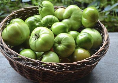 50 เมล็ดพันธุ์ มะเขือเทศ ผลสีเขียว Green Tomato Seeds มีคู่มือพร้อมปลูก อัตรางอก 80-85%