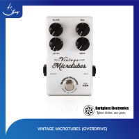 เอฟเฟคเบส Darkglass Vintage Microtubes ( Strings Shop )