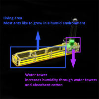 Ant House Acrylic Ant Nest BIG Starter Kit Formicerum Ant Farm พร้อม Water Tower Moisturizing