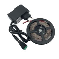 LED Strip Light 5m 60LEDs/m Single Color 2835SMD Flexible LED Tape 12V Power Supply Warm WhiteWhiteRedBlueGreen Yellow