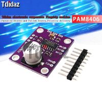 8406 PAM8406 No interference stereo class D audio power amplifier module development board WATTY Electronics