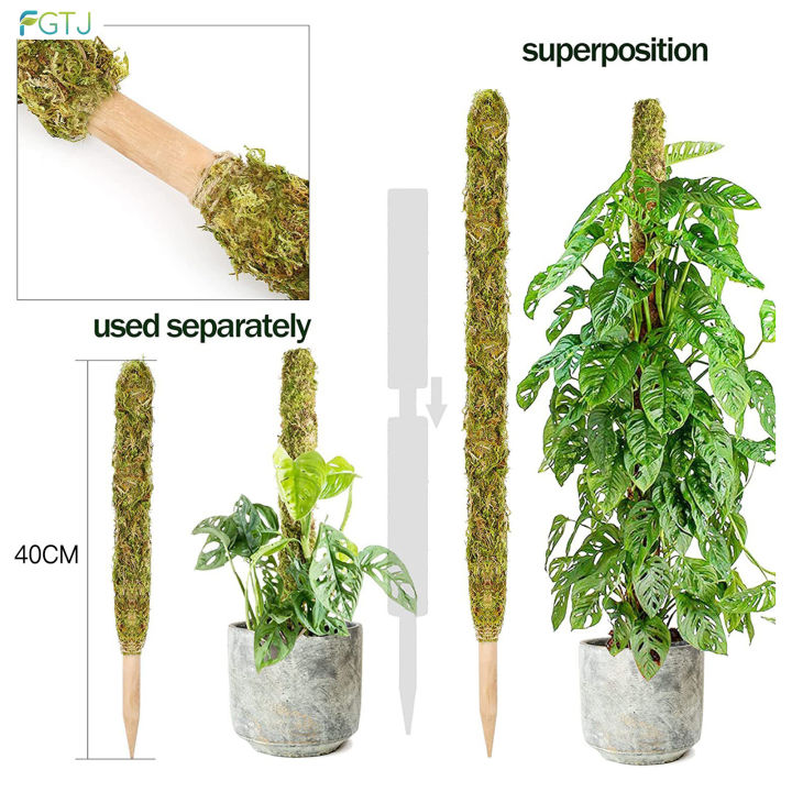 fgtj-พืชมอสวางซ้อนกันได้เสาค้ำยันเพื่อ-grow-เสาขึ้นสำหรับพืชใช้ในร่ม