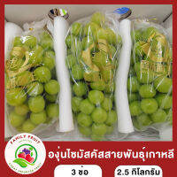 องุ่นไซมัสคัส สานพันธุ์เกาหลี 3 ช่อ หอม หวาน เนื้อเยลลี่ 3 ช่อ ส่งฟรี