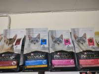 ??42Pets?�  PROPLAN อาหารแมว เกรดพรีเมี่ยม สูตรลูกแมว, แมวโต 1.5kg