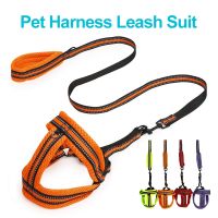 【FCL】♝❉ Adjustable Dog Leash and Harness Set Mesh for Small Medium Dogs Cats Chest Straps Rope Pets