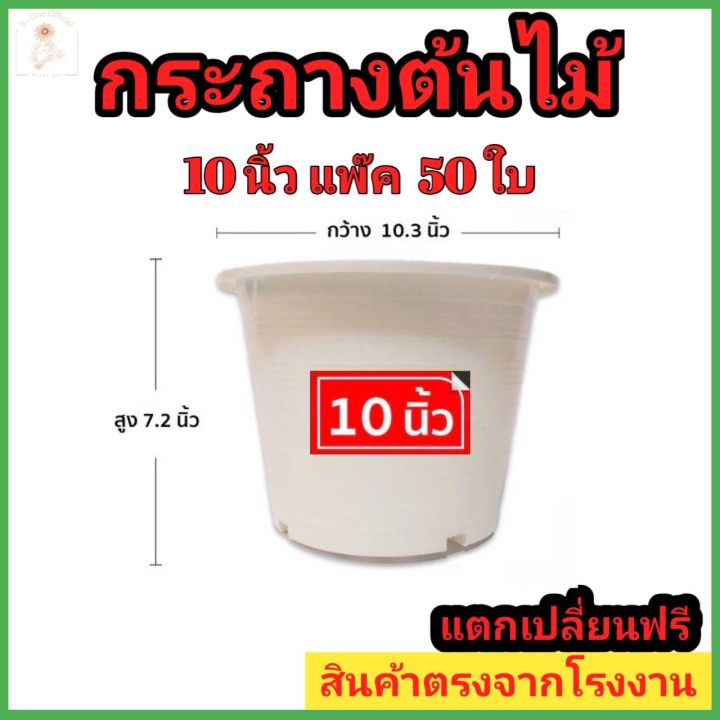 กระถางต้นไม้พลาสติก-10-นิ้ว-สีดำ-สีขาว-กระถางต้นไม้-กระถางกระบองเพชร-กระถางปลูกต้นไม้