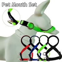 Adjustable Muzzle Dog Halter Leader Belt Durable Anti-bite Muzzle For Dogs Puppy Training Leash Anti Biting Stop Chew Mouth 2022 Collars