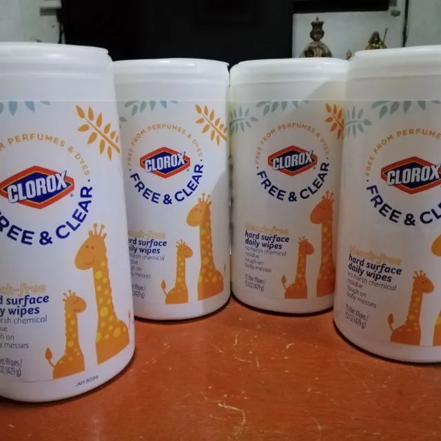 CLOROX WIPES hand surface daily wipes Lazada PH