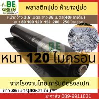 พลาสติกปูบ่อ 80 100 120 ไมครอน 0.12มิล (ดำ/ขาว) พลาสติกคลุมโรงเรือน พลาสติกปูบ่อปลา คลุม โรงเรือนแคคตัส  บ่อน้ำ Greenhouse ปู สระน้ำ ผ้ายาง