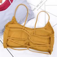 【YF】 Beauty Back Yoga Bra Women Padded Sports Removable Workout Wireless Fitness Elastic Thin Shoulder Strap