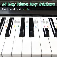 L Piano Keyboard Stickers 61 Key Piano Stickers Removable Letter Keys Sticker Colorful Piano Sticker Silicone Piano Sticker