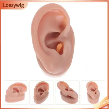 Silicone Tongue Section Model Piercing Training Jewellery Display  Acupuncture 