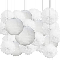 20 pcs Per Set 10" 12" 14" White Tissue Paper Pom Poms and Chinese Paper Lantern lampion for Wedding Party Hanging decoration