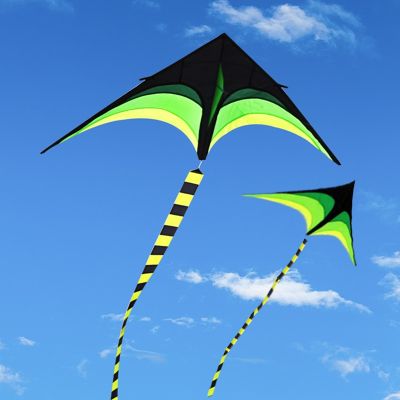 free shipping high quality large delta kites tails with handle outdoor toys for kids kites nylon ripstop albatross kite factory