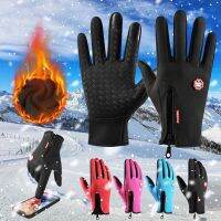 hotx【DT】 Men Cycling Gloves Outdoor Ski Motorcycle Fleece Non-Slip Warm Fingers