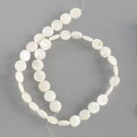 เปลือกหอยแท้ (mother-of-pearl) เม็ดกลมแบน (Flat Round) 12 mm. - (สีขาว)