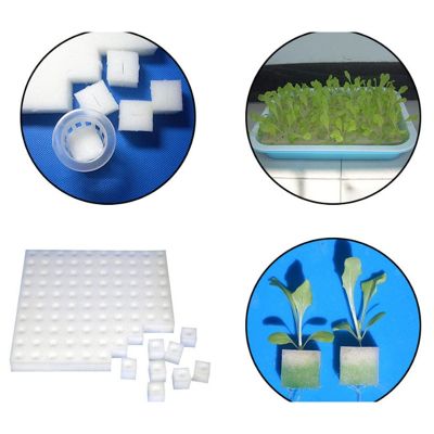 ；【‘； 100 Pieces White Seedling Sponge Soilless Hydroponic Vegetables Cultivation Plant Nursery Pots Seedlings Cloning Collar Garden