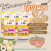 พร้อมส่ง? บุเรงนอง ยกลัง 5 แกลลอน ขนาด 4 ลิตร อะมิโนพืช+สาหร่าย+ไคโตซาน+น้ำตาลทางด่วน อาหารพืช ใช้ฉีดพ่นทางใบ ฉีดพ่น ได้ทุกพืช ลำไย