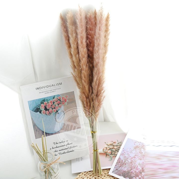 cw-1-bunch-43cm-small-reed-immortalizedbouquetdecoration-coffeeornament-pampasreed-dry-flowers-hot