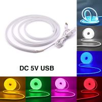 IP65แถบนีออน USB DC 5V กันน้ำตกแต่งบ้าน DIY แดงฟ้าขาวน้ำแข็งน้ำเงิน120 LED/ M โคมไฟแถบไฟ LED 2835ยืดหยุ่น