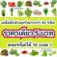 เมล็ดพันธุ์ผัก ซองละ 5 บาท ถูกที่สุด เมล็ดผักสวนครัว คละแบบได้ งอกดี เมล็ดพันธุ์ผัก เมล็ดผักพื้นบ้าน ปลูกง่ายโดไว