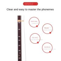 【ดนตรีพระจันทร์】เครื่องดนตรี1ชิ้น Erhu Pemula Pelekat Jari Phonemic Erhu Pelekat Skala Muzik Erhu Intonasi Rajah Aksesori