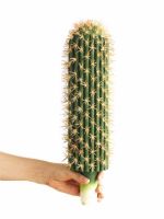 Big Size Artificial Catus Plastic Succulent Tropical Plant Home Decoration False Flower