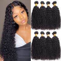 10A Kinky Curly Human Hair Bundles Weave Extensions Original Promotion