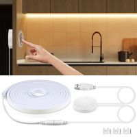 USB DC5V COB LED Light Neon Strip Dimmable Sensor Penetrable Wood Mirror Acrylic Hand Sweep Touch Sensor Switch For Room Decor