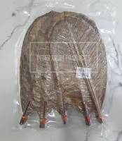 ใบโฮบะ แพคสุดคุ้ม DRIED HOBA LEAVES ใบแมกโนเลีย 50ใบ/แพค Size M (ยาว 30-35cm / กว้าง 15-17cm) สำหรับปิ้งย่าง