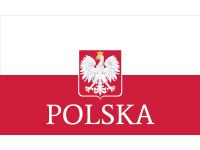 ⊙✒■ 90x150cm/60x90cm/40x60cm/15x21cm 3X5ft Poland Polyester National Flag Super-Poly Eagle For Home Decorations